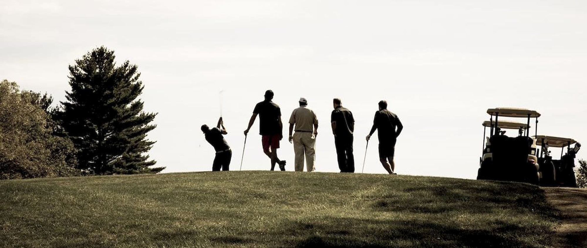 Five people are standing on a golf course, with one person swinging a club. There are two golf carts nearby, and trees are in the background.