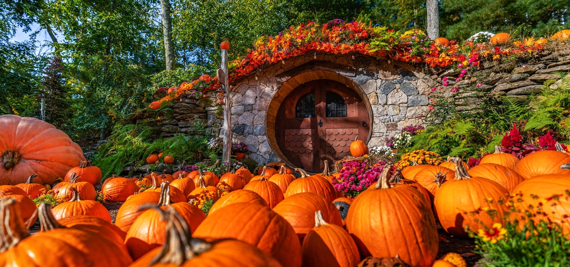 A stone hobbit house with a round door is surrounded by numerous orange pumpkins and autumnal flowers, set in a lush, green forest.