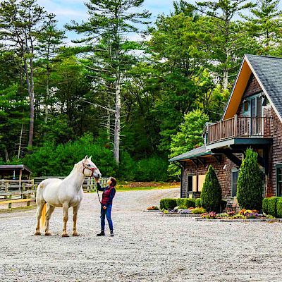 A person is standing with a white horse outside a rustic building with a horse looking out from a window, surrounded by greenery.