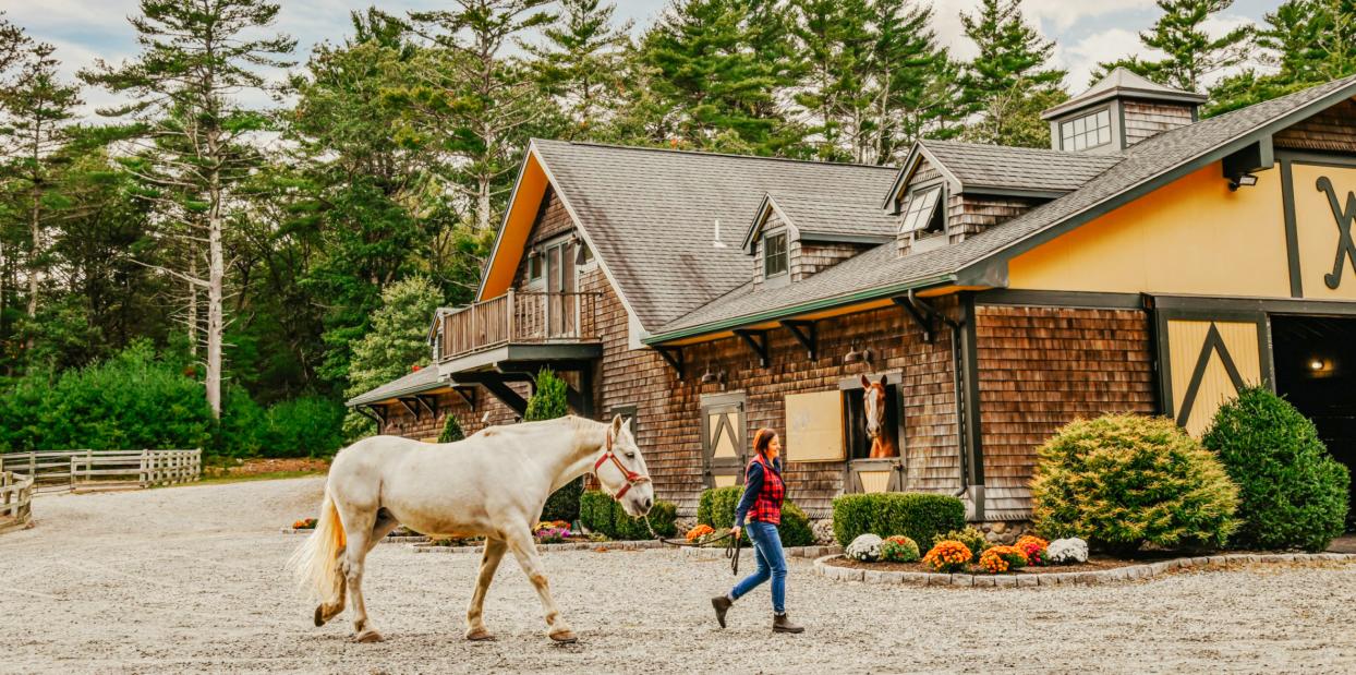 A person leads a white horse past a rustic barn surrounded by a scenic, wooded area and landscaped shrubs and flowers.