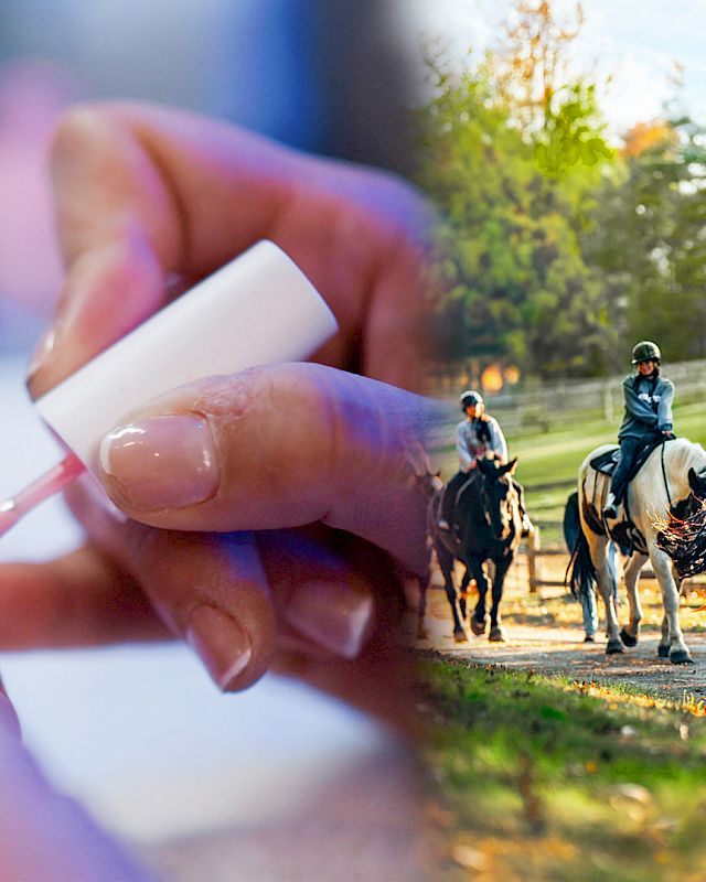 Serene horse and buggy ride through picturesque landscapes at The Preserve Resort & Spa, part of the Ride & Relax Equestrian Spa Package.