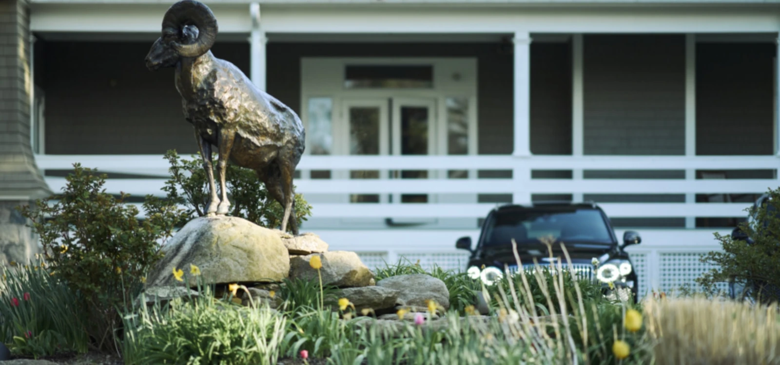 A bronze ram statue stands on rocks amidst greenery in front of a building with a white porch and a black car parked nearby.