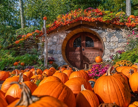 Hobbit House Pumpkin Patch at The Preserve Sporting Club & Resort