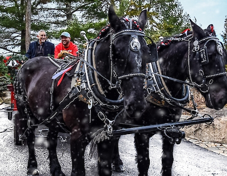 Horse-drawn sleigh ride at The Preserve Resort & Spa